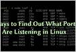 How to listen new port Ubuntu Server from command lin